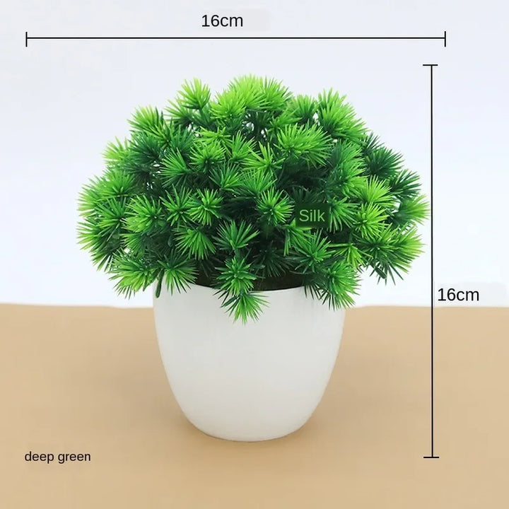 BowLift | Small Tree Pot Bonsai Plants