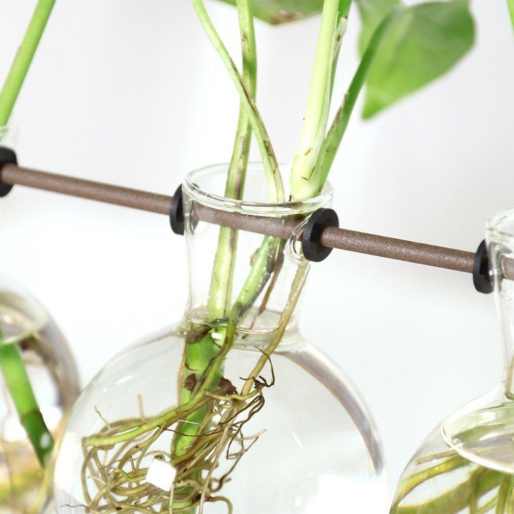 BowLift | Fauna Plants Cuttings Pots | Grow your own plants at home