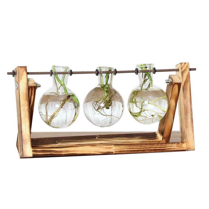 BowLift | Fauna Plants Cuttings Pots | Grow your own plants at home