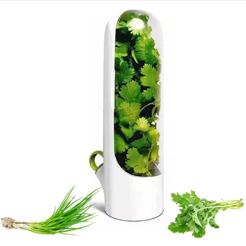 Herb storage container for fresh vanilla, vegetables, and herbs in the kitchen | Bowlift