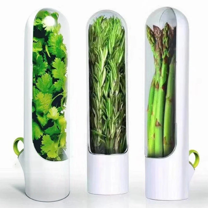 Herb storage container for fresh vanilla, vegetables, and herbs in the kitchen | Bowlift