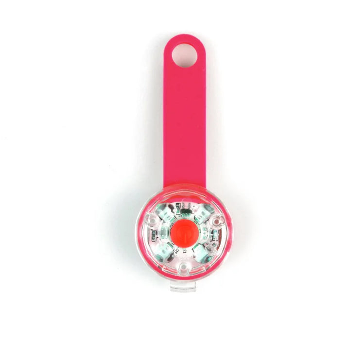 Rechargeable LED safety tag for pets Bowlift