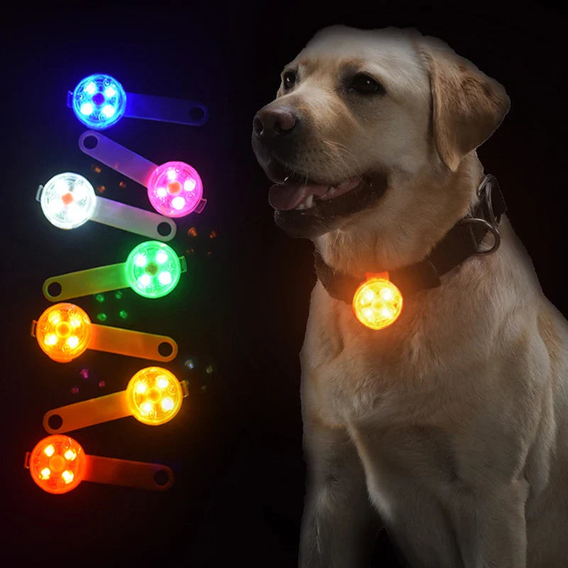 Rechargeable LED safety tag for pets Bowlift