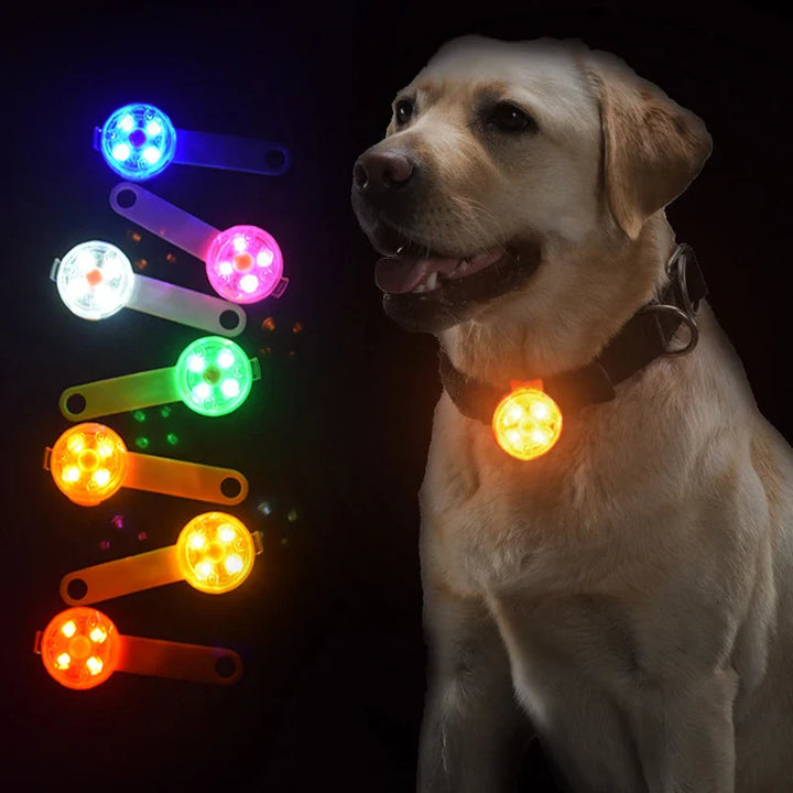 Rechargeable LED safety tag for pets Bowlift