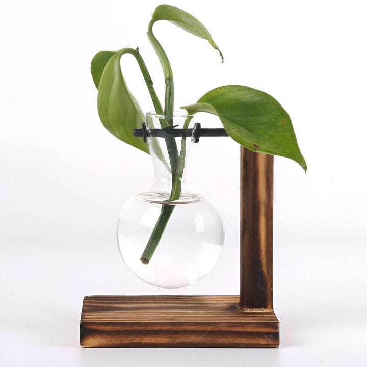 BowLift | Rustic Wooden Hydroponic Plant Holder with Glass Vase