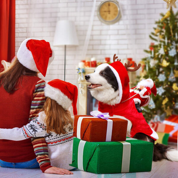 BowLift | HollyPaws - cozy, adjustable Christmas outfit for dogs