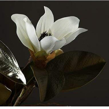 Magnolia Silk Flower Bowlift