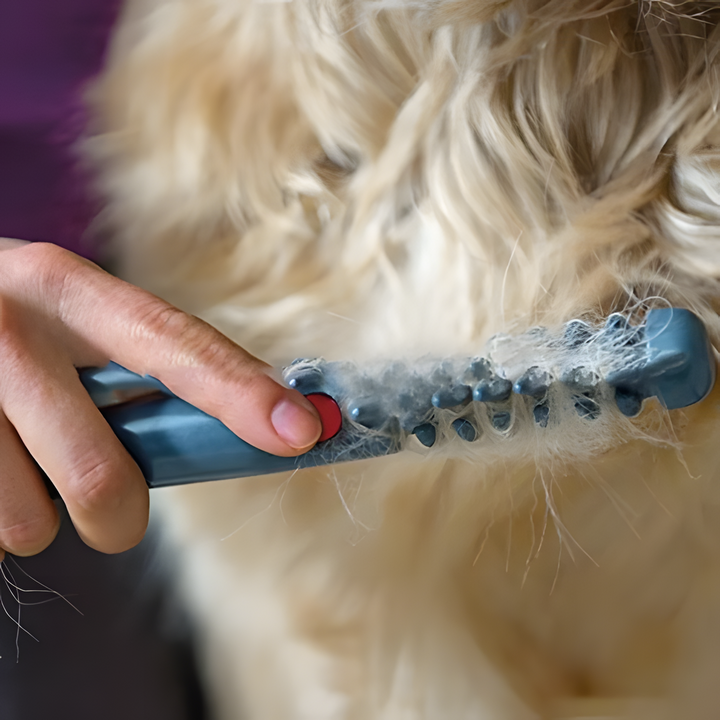 BowLift | No More Knots & Tangles Pet Comb