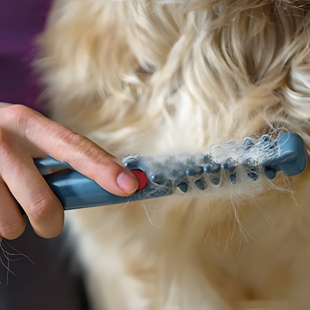 BowLift | No more knots and tangles for your pet