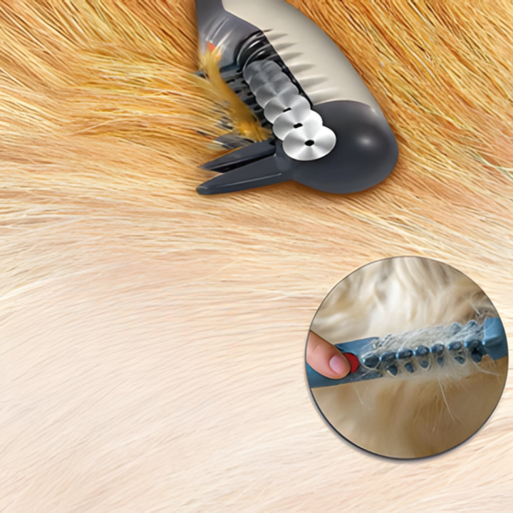 BowLift | No more knots and tangles for your pet