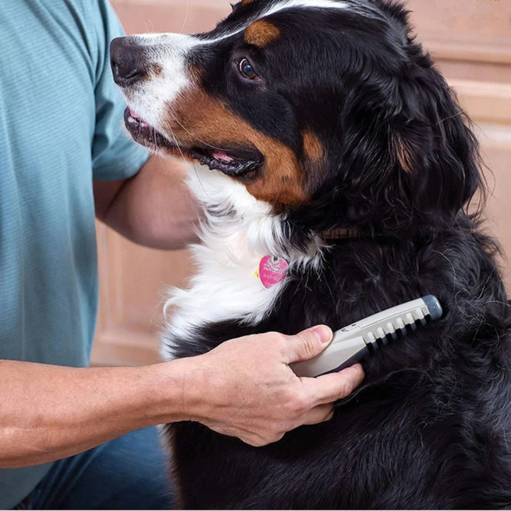 BowLift | No More Knots & Tangles Pet Comb
