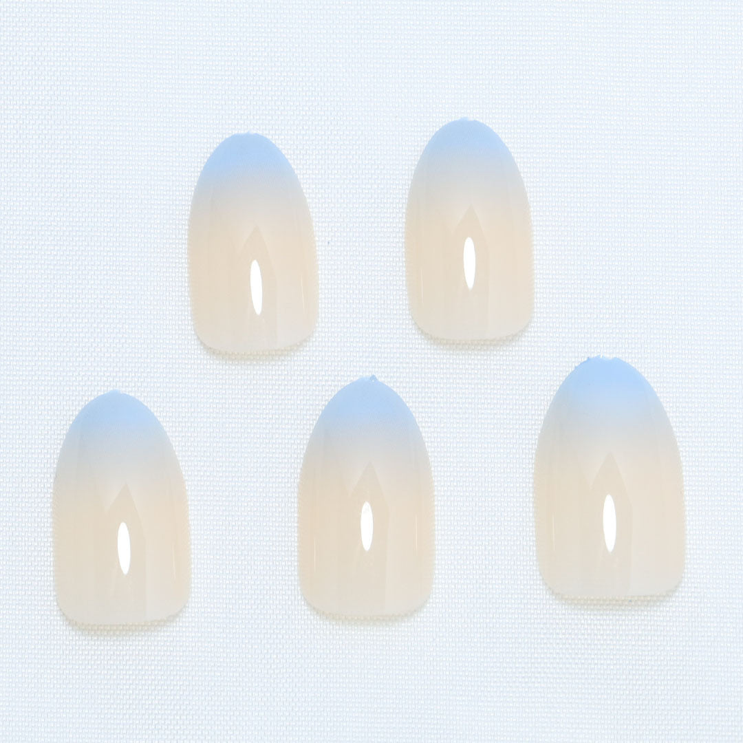 Ombre Press-On Nail Tips Bowlift