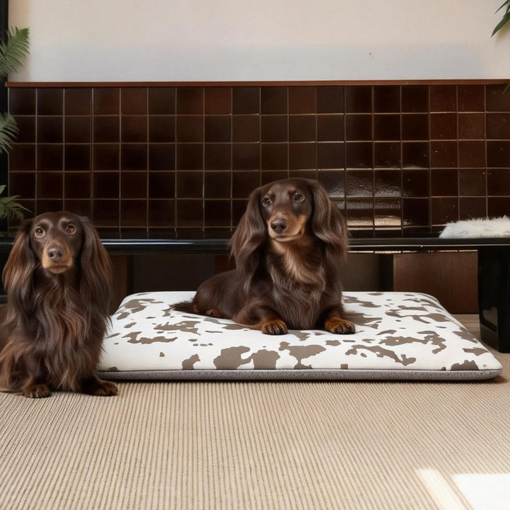 Unisex Comfortable Pet Sleeping Mat Bowlift