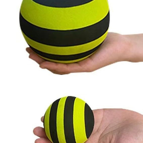 Balance Ball Bowlift