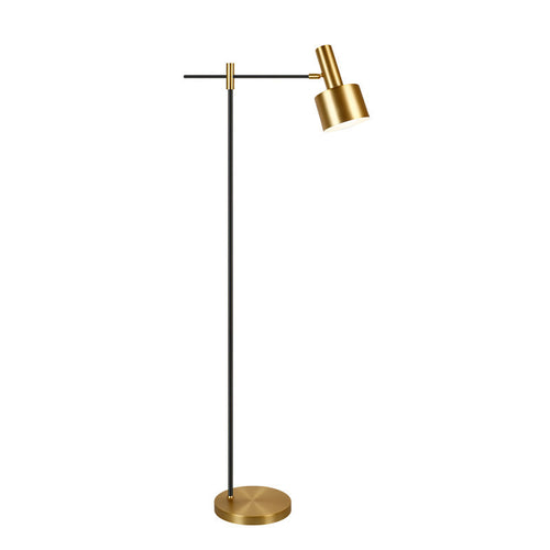 Modern Adjustable Floor Lamp