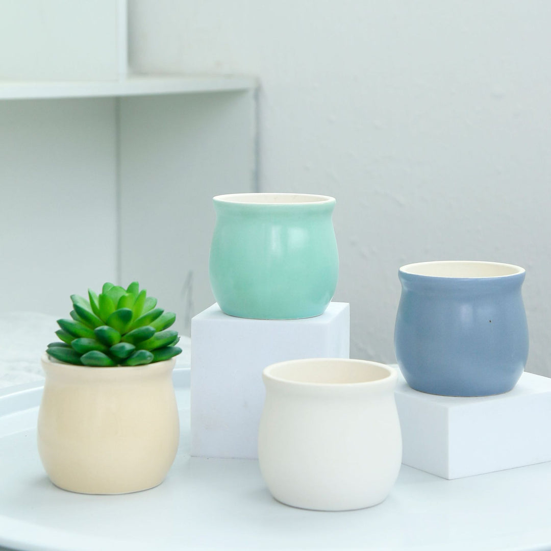Modern Round Ceramic Planter Bowlift