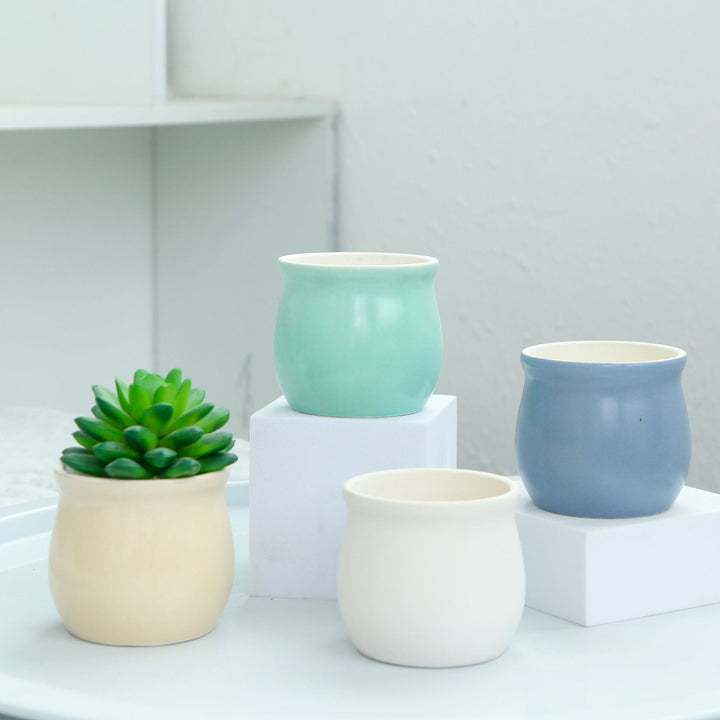 Modern Round Ceramic Planter Bowlift
