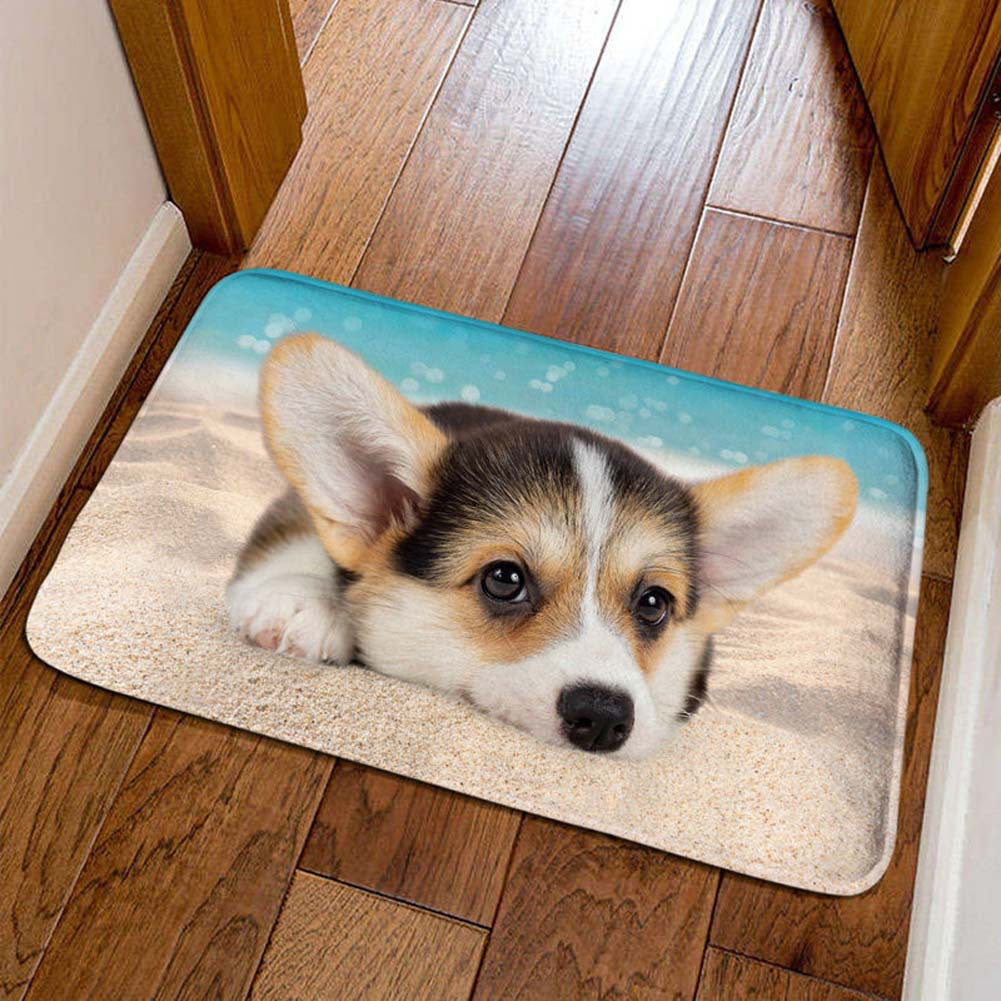Decorative Cat Welcome Mat Bowlift