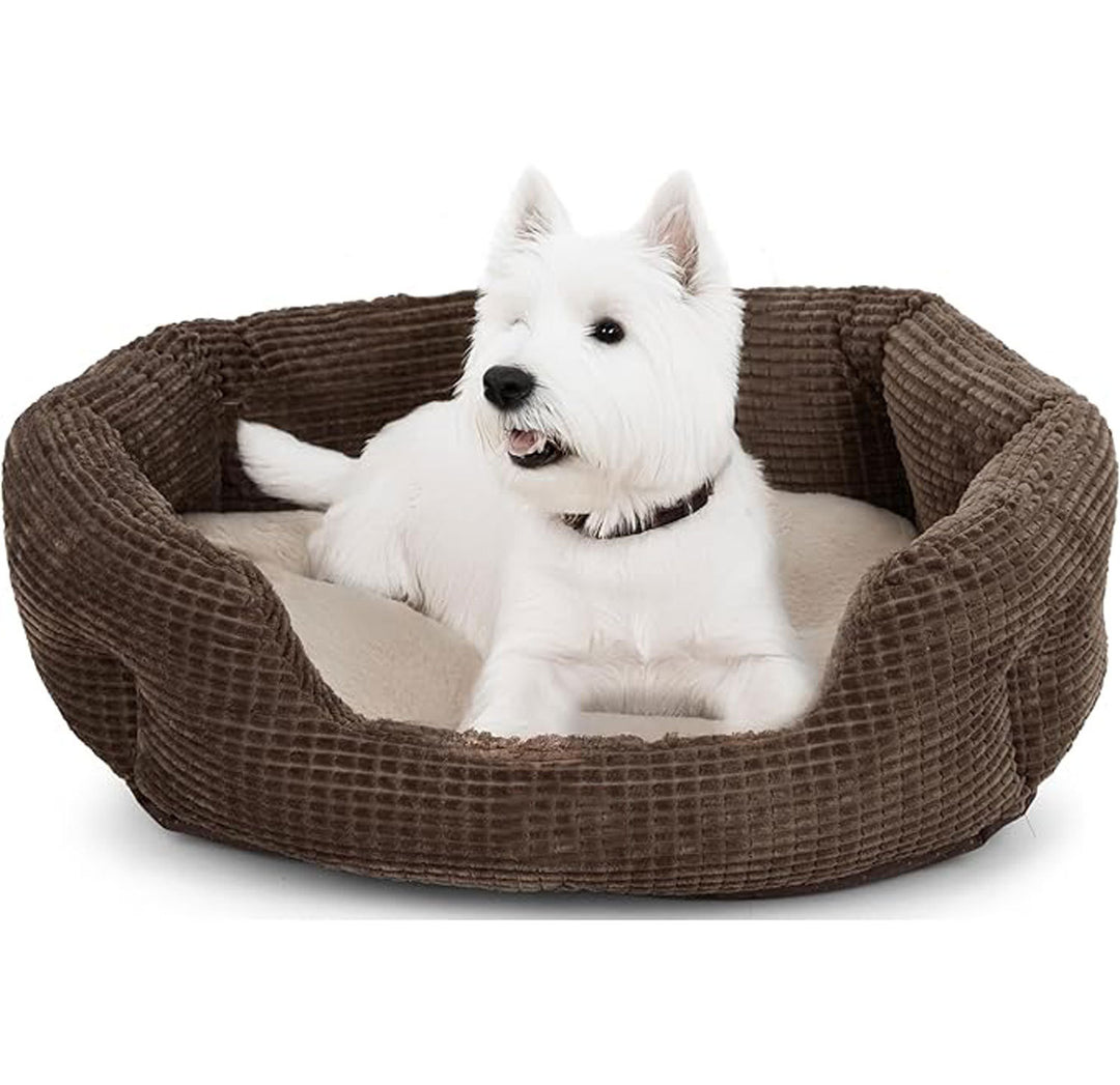 Cozy Orthopedic Dog Bed 1785335800