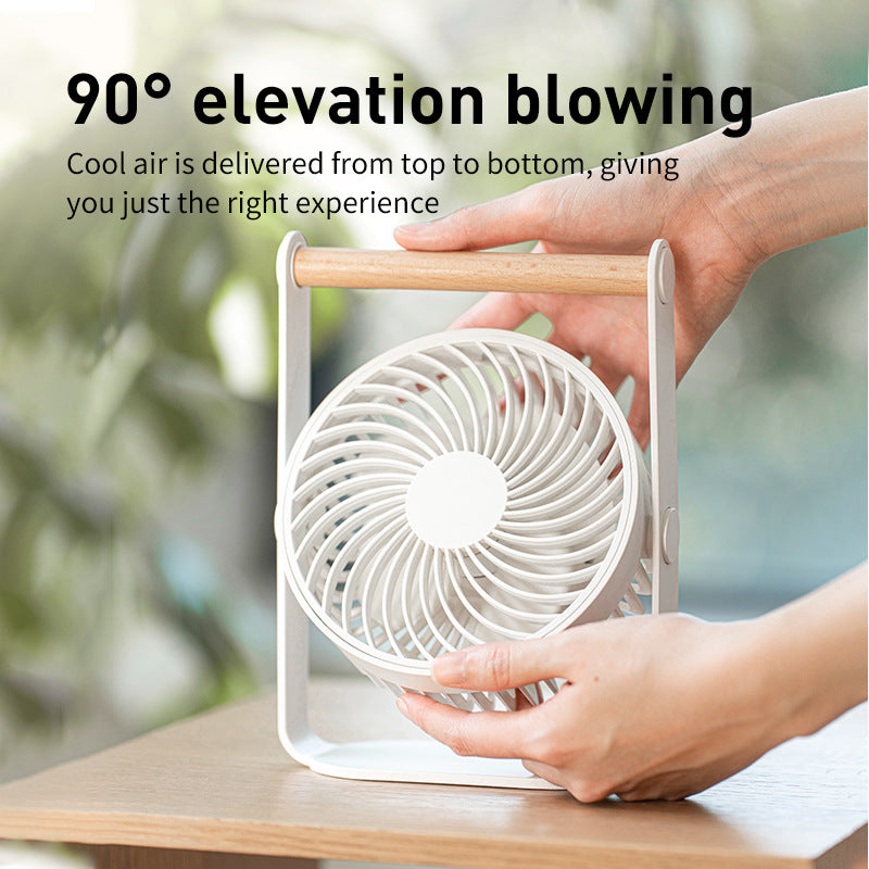 Ladies portable fan with wooden handle Bowlift