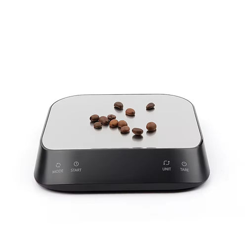 Precision Digital Scale