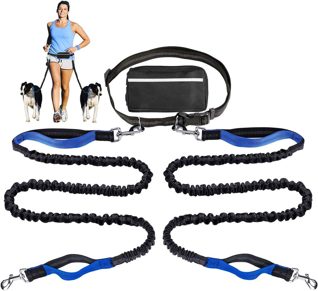 FlowLeash — Experience gentle control and relaxed walks without jerks! | Bowlift