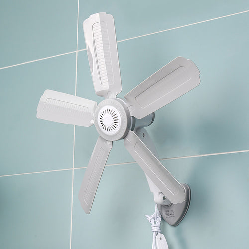 Women Wall Fan Bowlift