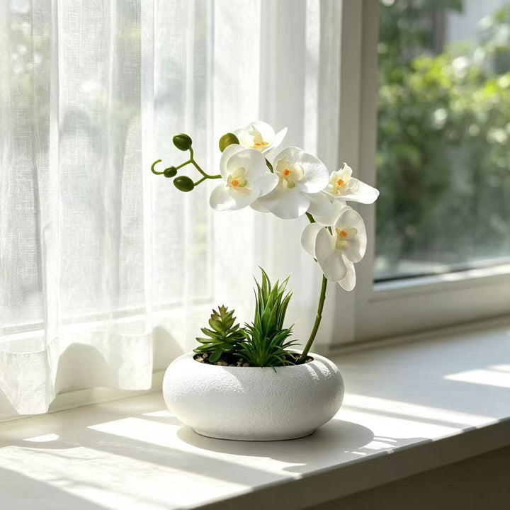 Elegant Orchid and Succulent Planter