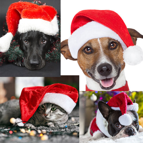 Christmas hat for pets