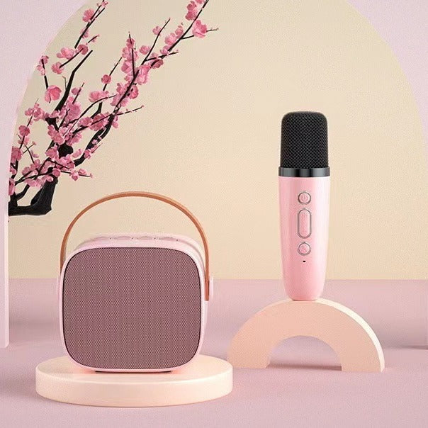 Portable Bluetooth Speaker and Microphone Bowlift