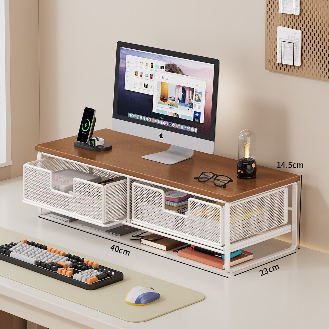 Multi-Functional Wire Mesh Desktop Organizer Bowlift