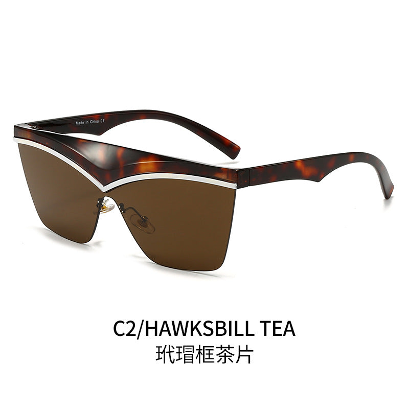 Ladies Designer Sunglasses with Asymmetrical Frame and High-Tech Lenses Bowlift
