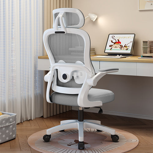 Ergonomic Study Chair Bowlift
