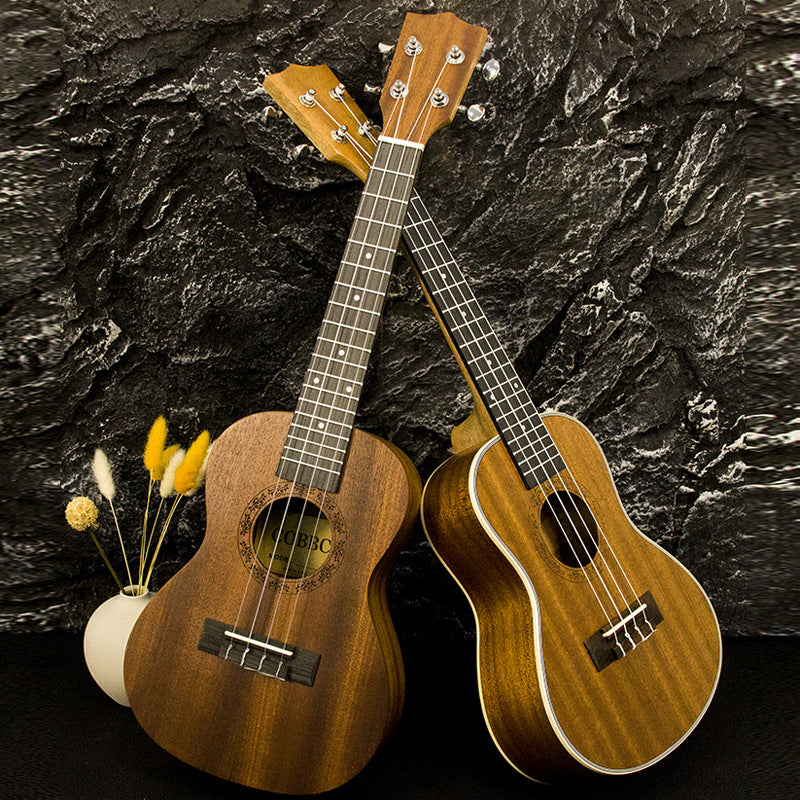 Rainbow Acoustic Ukulele Bowlift