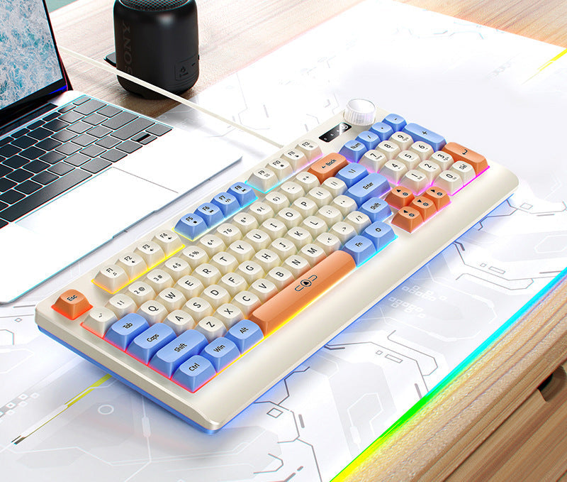Retro RGB Mechanical Keyboard and Optical Gaming Mouse Set Bowlift