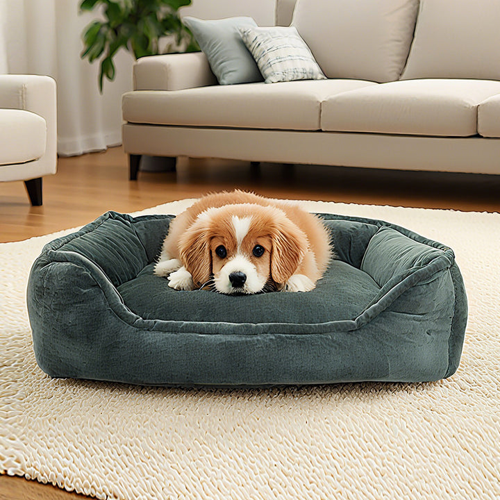 Memory Foam Orthopedic Dog Bed