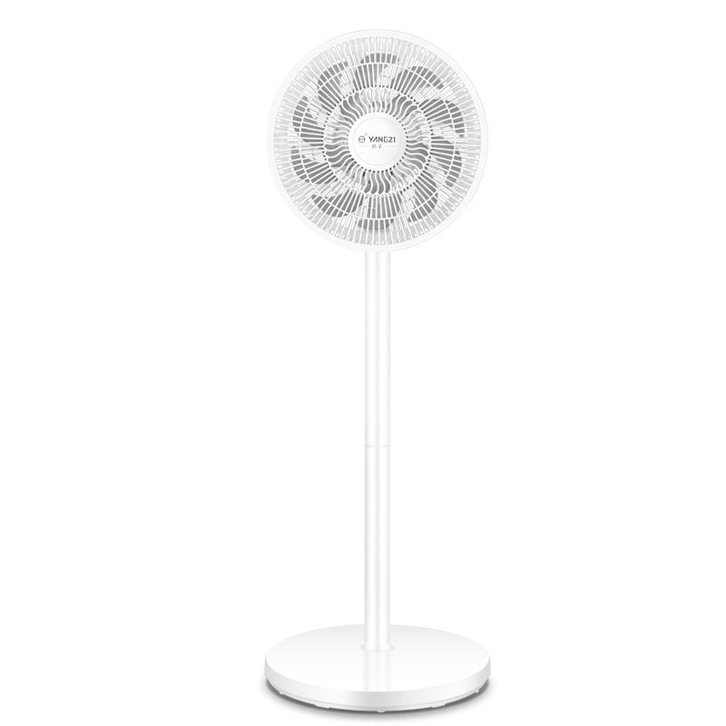Ladies Stand Fan Bowlift