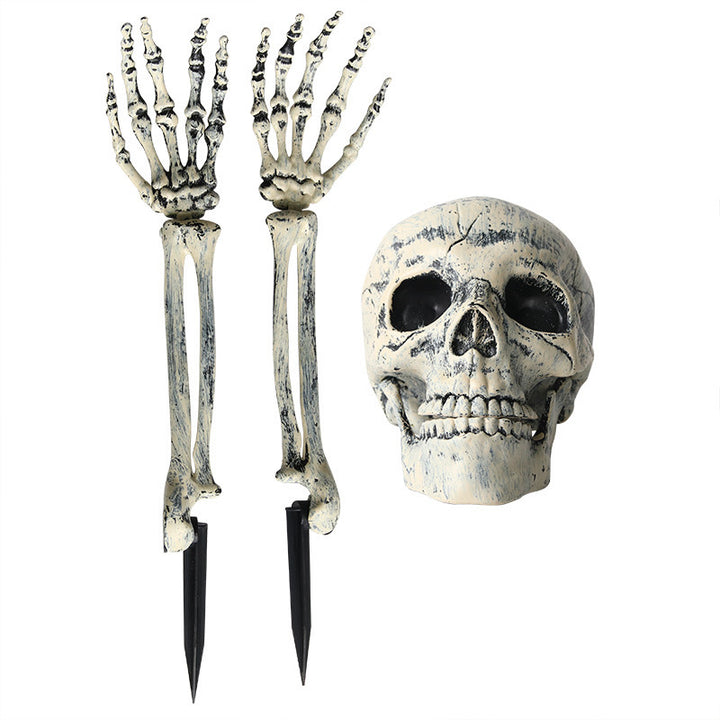 Realistic Decorative Skull Prop Bowlift