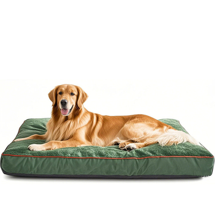 Orthopedic Supportive Dog Bed