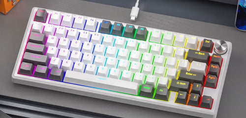 Gasket-Mounted Mechanical Gaming Keyboard with RGB Lighting Features Bowlift
