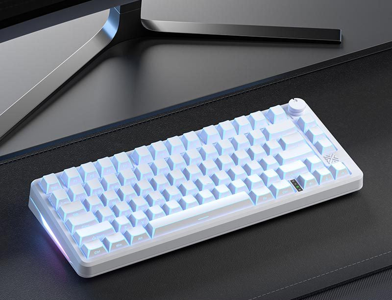 Wireless Gaming Mechanical Keyboard Bowlift
