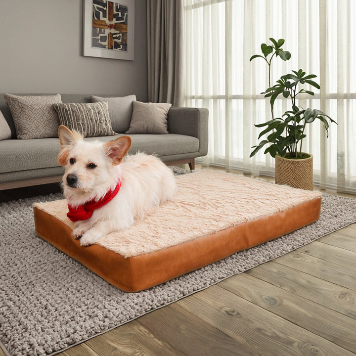 Dog bed
