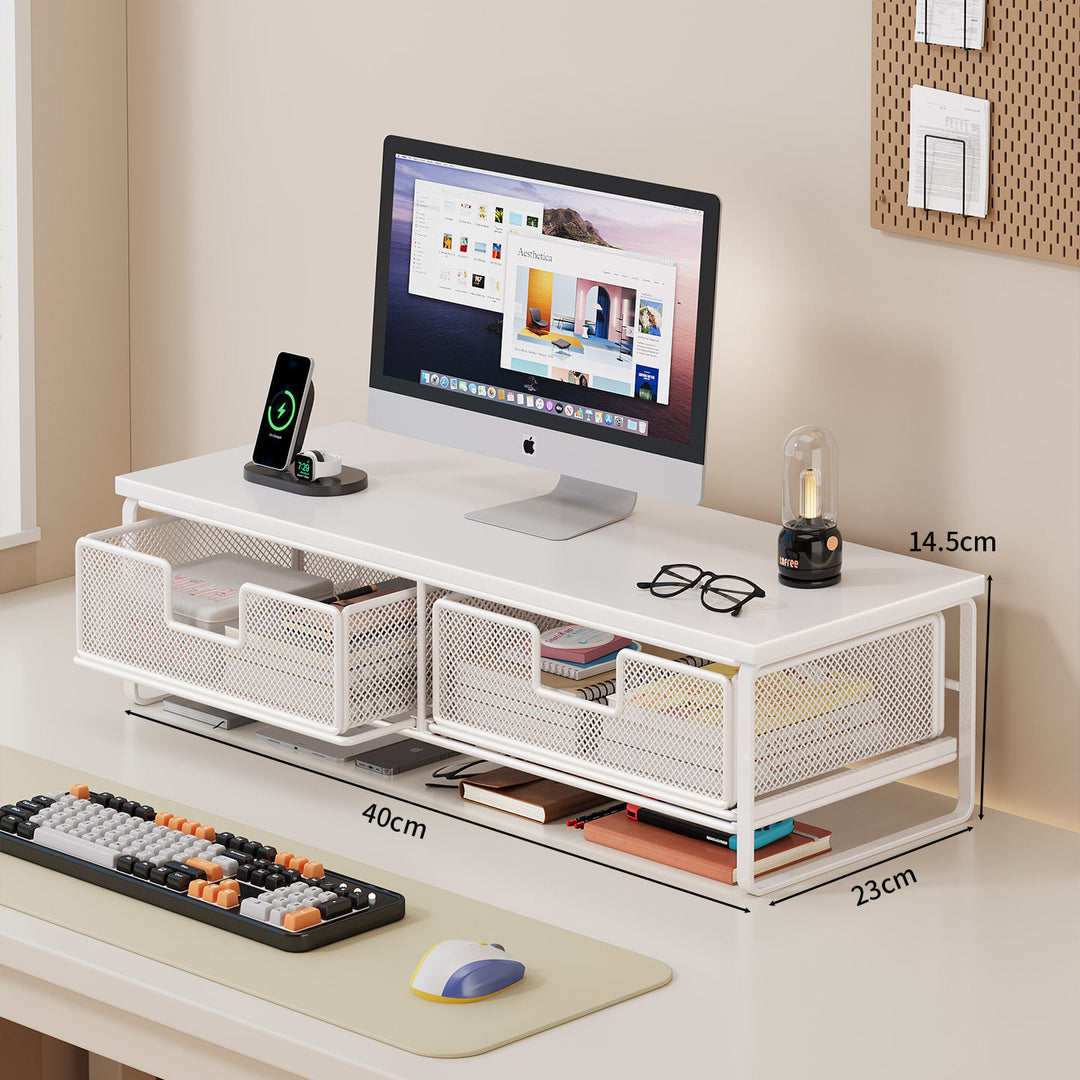 Multi-Functional Wire Mesh Desktop Organizer Bowlift