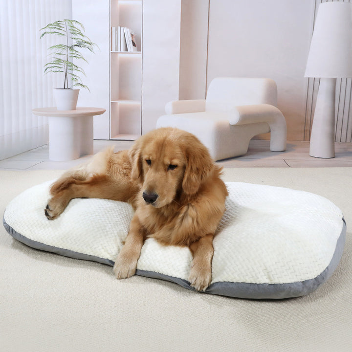 Ergonomic Dog Bed