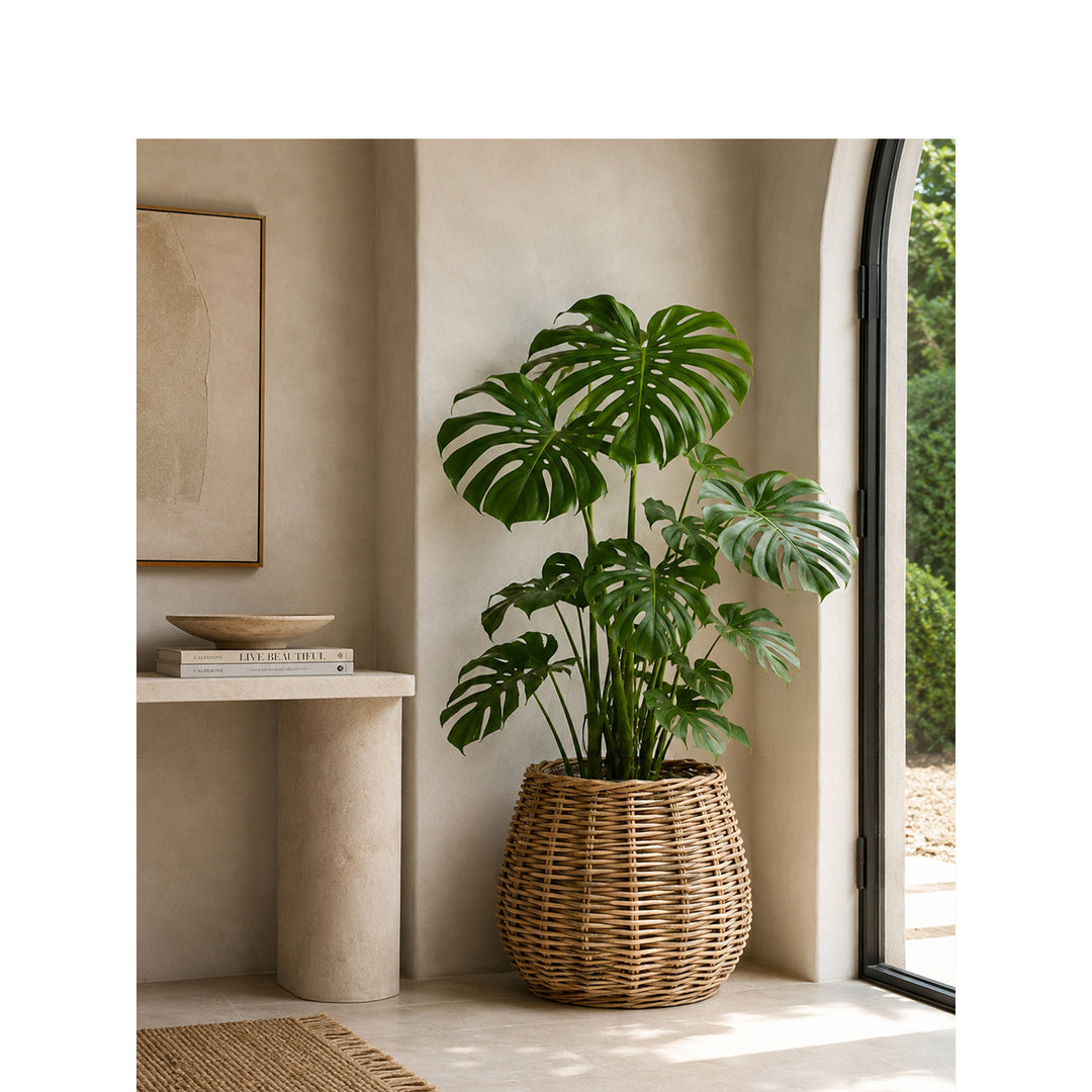 Decorative Laundry Basket Bowlift