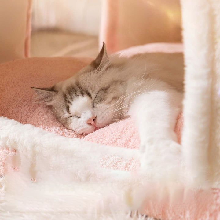 Cozy Enclosed Dog Bed