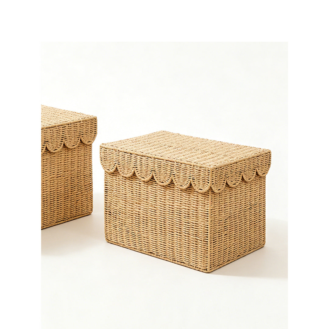 Storage basket with lid Bowlift