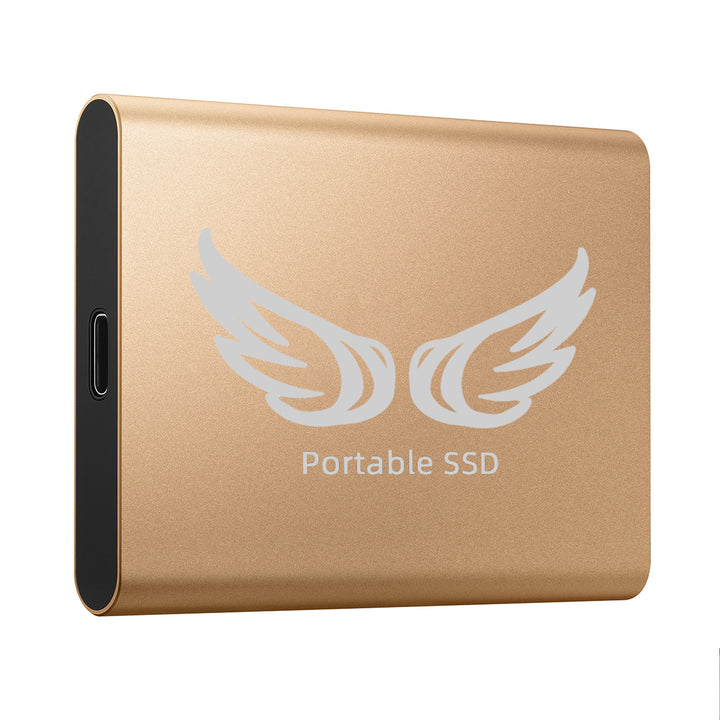 High-Speed Portable SSD Drive Bowlift