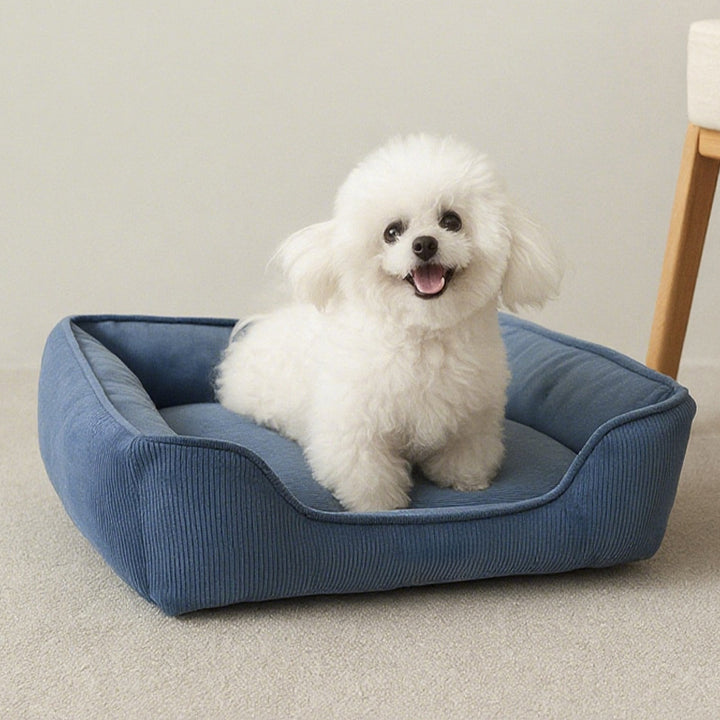 Plush Orthopedic Dog Bed