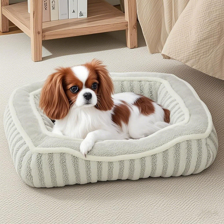 Cushioned Rectangular Dog Bed